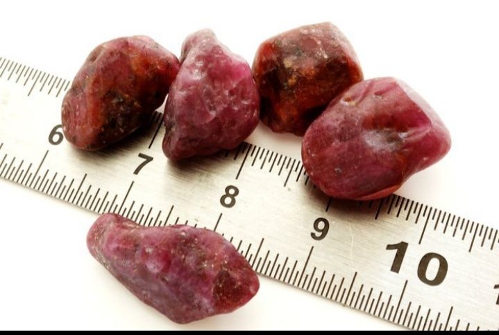 Lote de 5 Cristais de Rubi Bruto (55 ct / 11.15g) - Não Tratado,