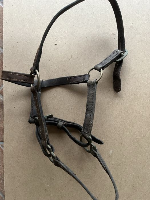 Cabeção em couro para poldro