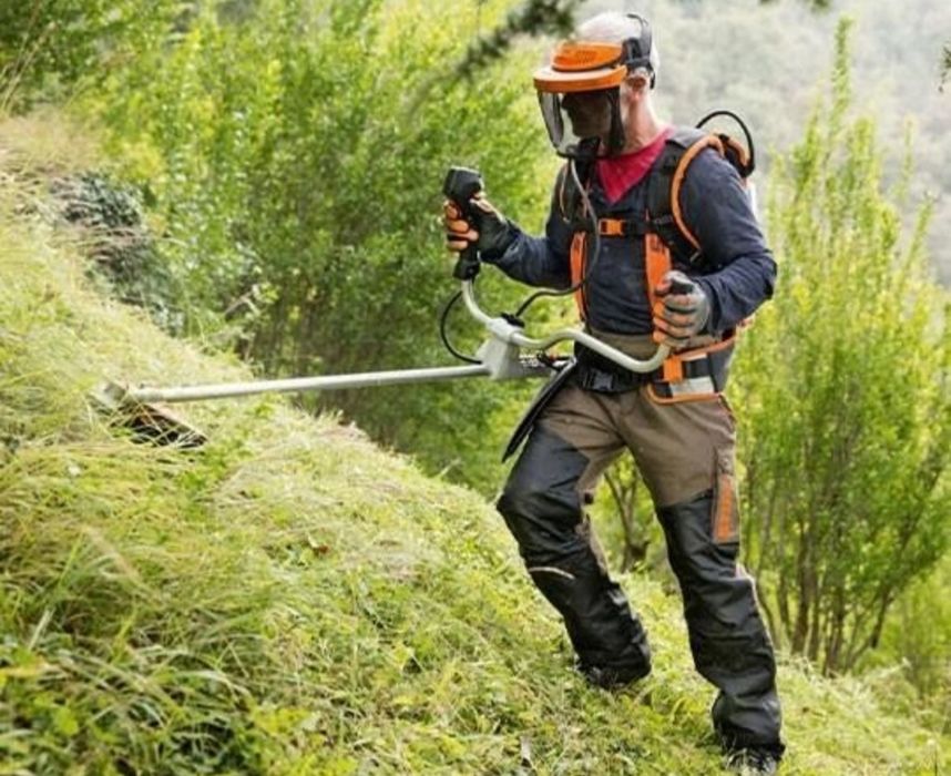 Спил деревьев веток с вывозом