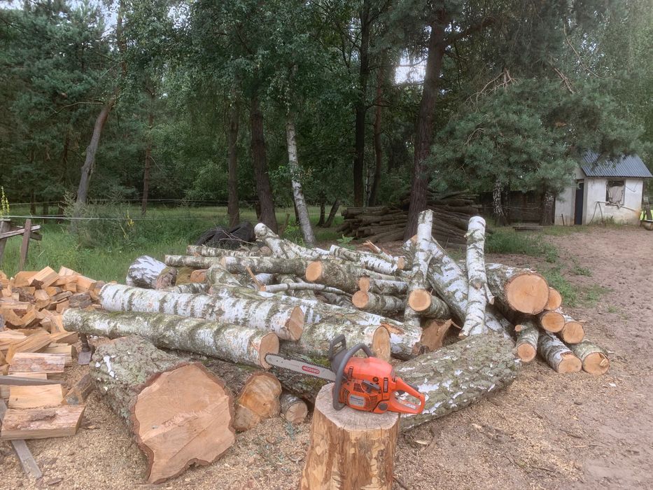 Brzoza do kominka/pieca