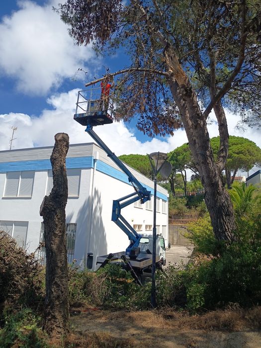 Aluguer de Camião Grua com Cesto