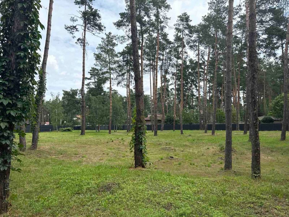 Продаж земельної ділянки с. Романків.