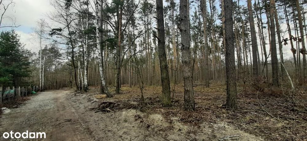 Piękna działka w otulinie Parku Krajobrazowego - View 5