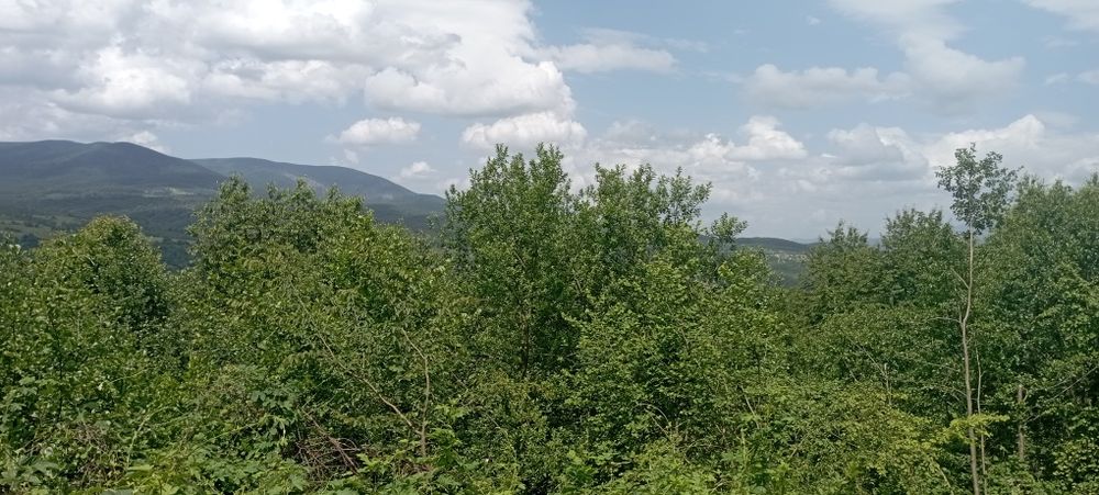 Продаю ділянку в горах Карпат Голубине Вілла Квітка