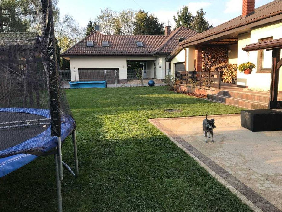 Profesjonalne Usługi Układania Kostki Brukowej