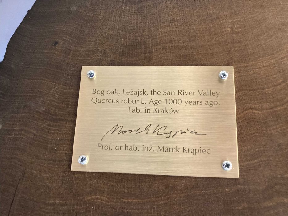 Stolik z czarnego dębu - 1000 lat