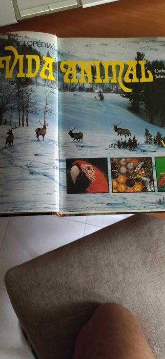 Livro Enciclopédia da Vida Animal