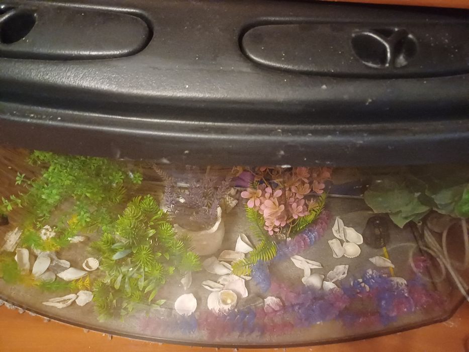 Akwarium na rybki 120l