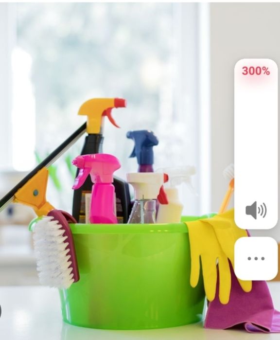 **Faço limpeza na Zona Leiria