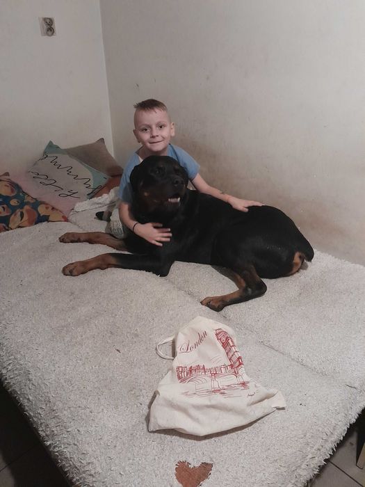 Oddam do dobrych ludzi psa