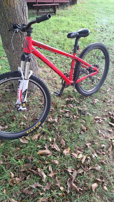 Rower kellys whip10