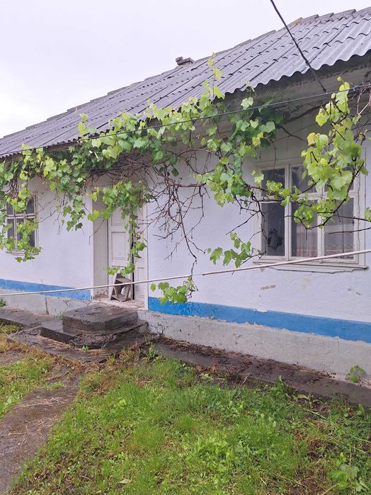 Будинок з надвірними спорудами