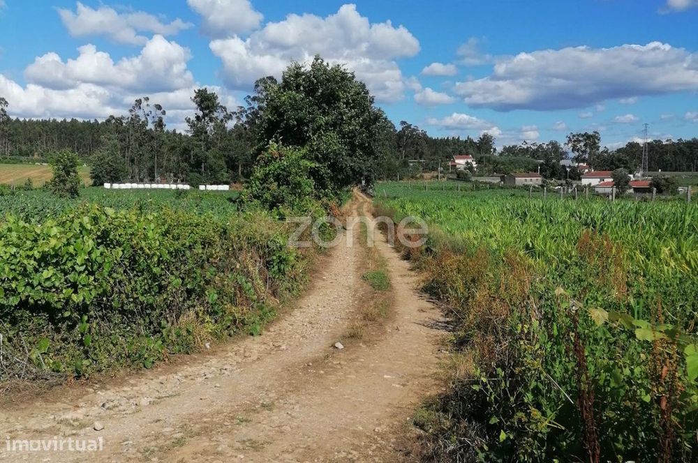 Terreno rústico com 5.000 M2 em Fradelos V.N. Famalicão — Ribeirão, Braga