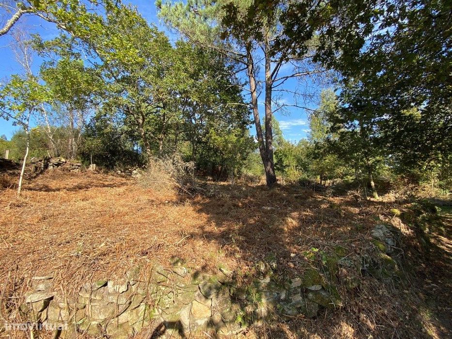 Terreno para construção. — Insalde E Porreiras, Viana do Castelo