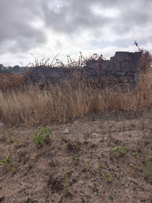 Vendo terreno de 2,5 hectares com regadio