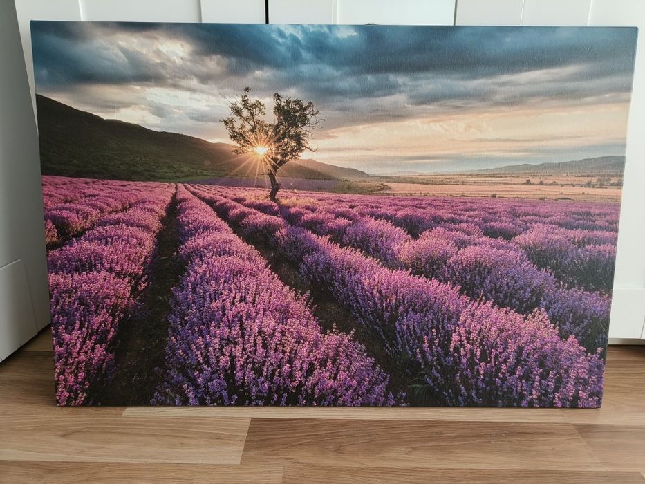 Obraz na płótnie 90 x 60 cm