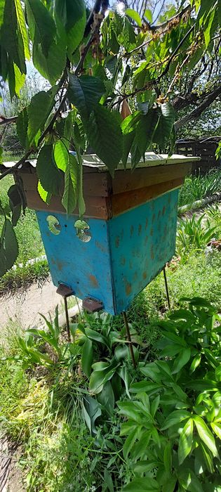 Вулики і підстави під них