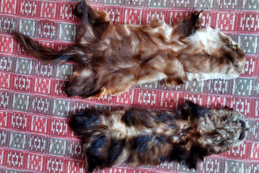 Фредка 2 шкірки ідеальні