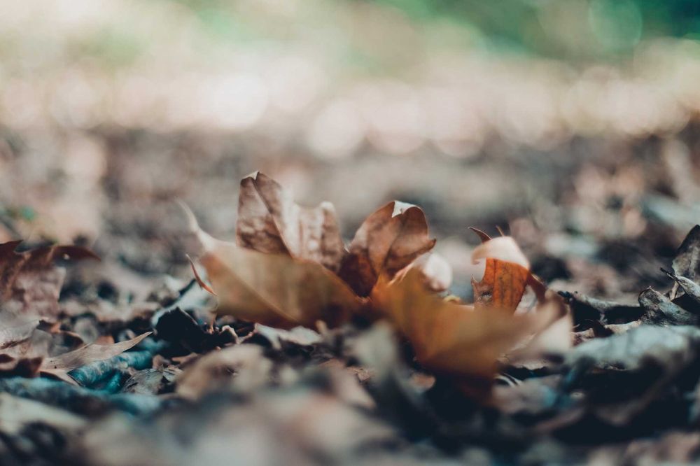 Pentax FA. 50 mm F1.4 - fantástico vidro vintage