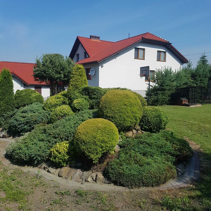 Przycinanie i pielęgnacja żywopłotów, wycinka drzew