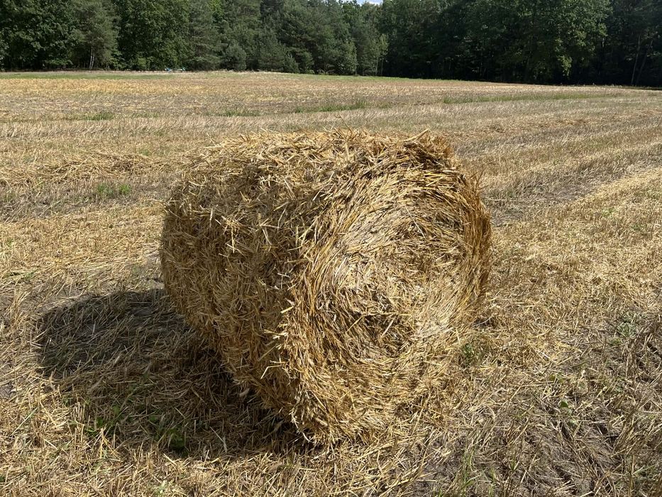 Siano słoma kostki bele