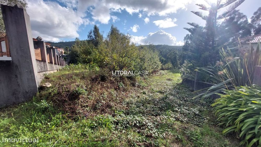 Terreno | Carrazedo do Vouga