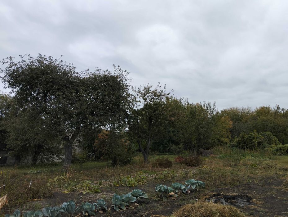 Продам будинок в селі Постольне 14 км. від міста Суми