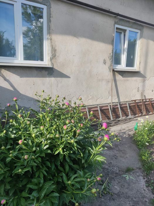 Продаж  пів будинку Добровільна