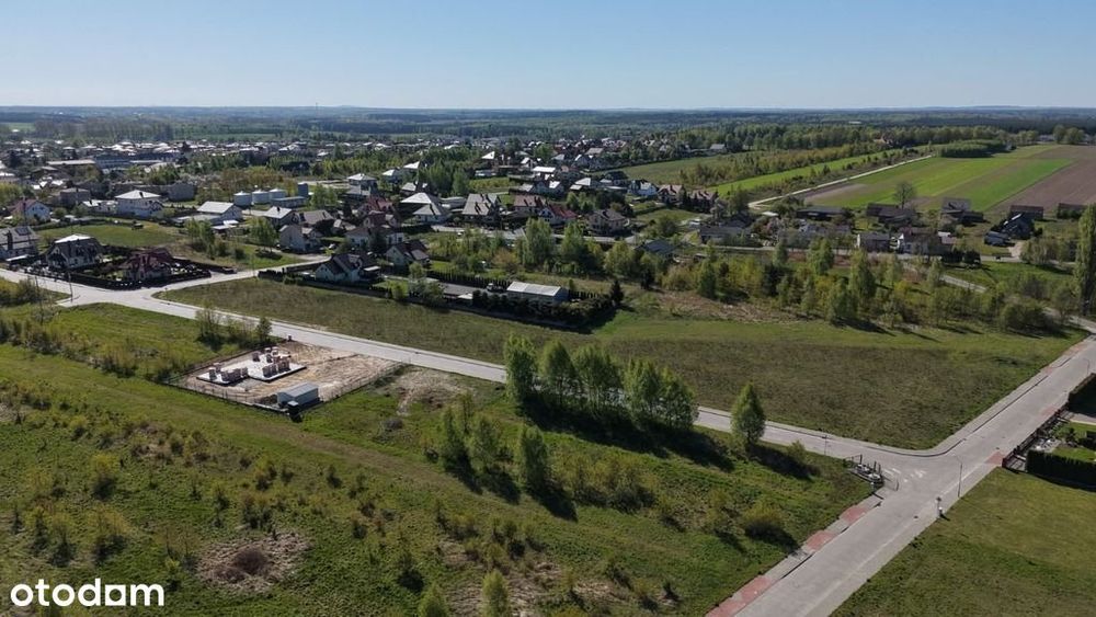 Zdjęcie 8
