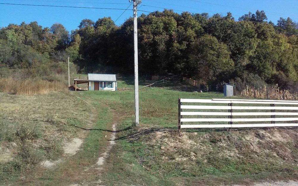 Дачна ділянка, село Курінька, Полтавська область