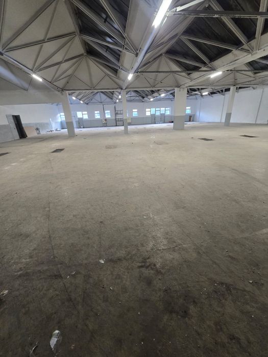 Wynajme hale centrum Lubina 1100m2