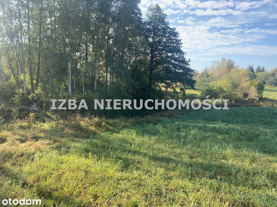 Działka, Bienie