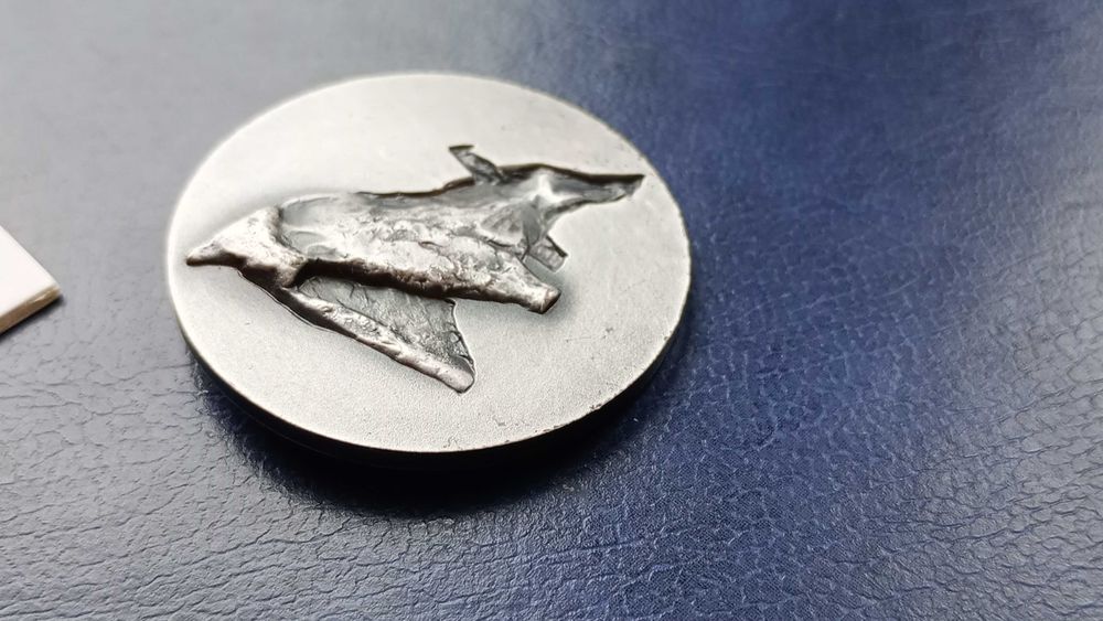Stare monety Medal Frindt 2008 Stanisława Wątróbska