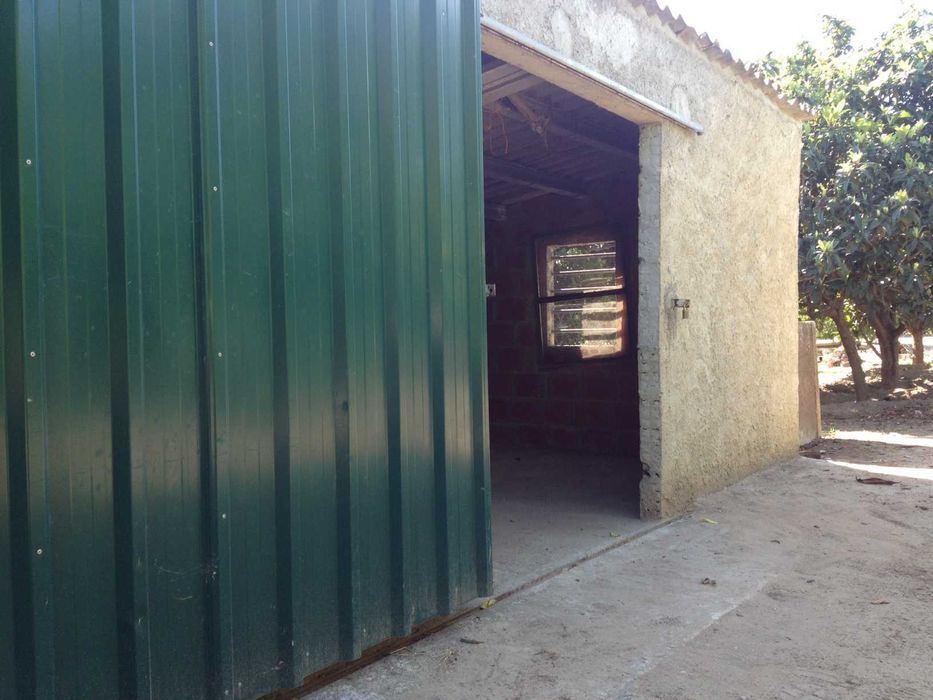 Aluga-se Quinta de produção agrícola - 2 Hectares - em PLENA produção