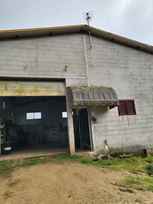 Armazém, industrial  em loivos chaves