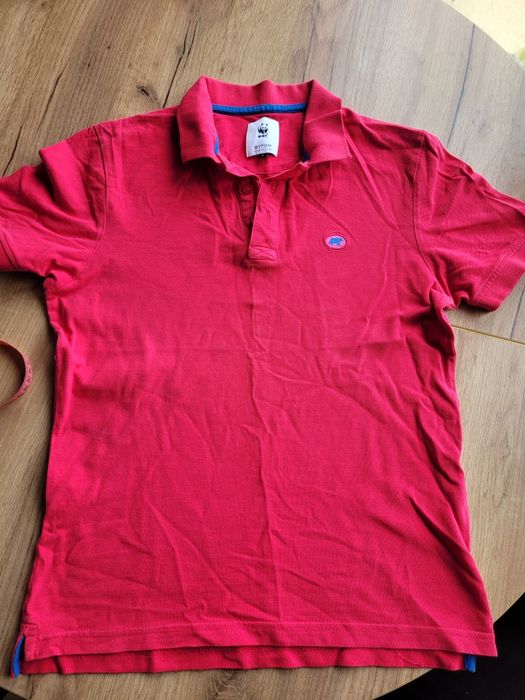 Męskie polo Bytom r L