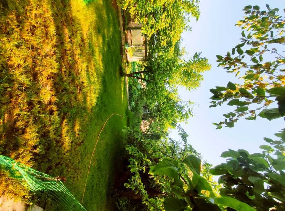 "Голубе Озеро", оренда будинку на довгий термін.