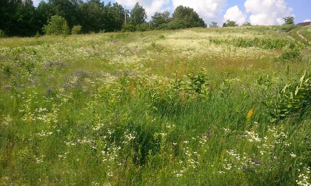 Продам свой участок 12 соток в живописном месте