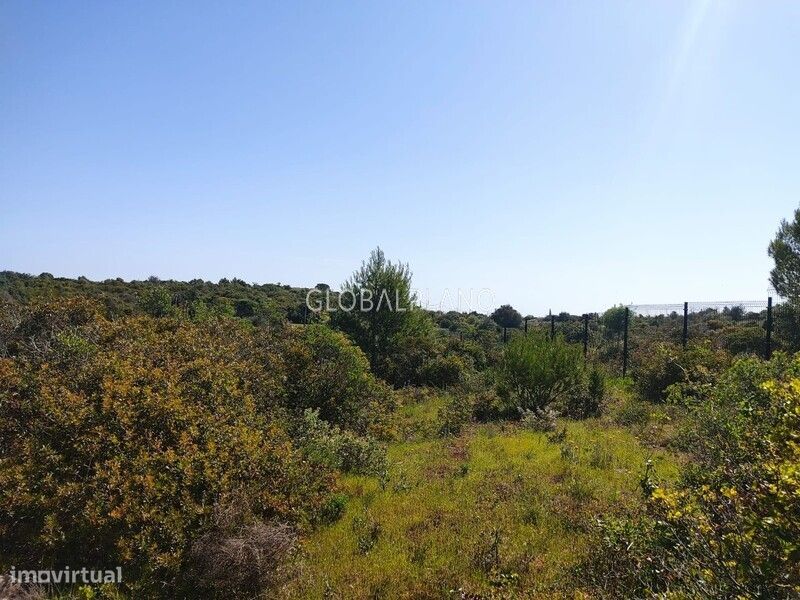 Terreno Rústico Odiáxere, Lagos