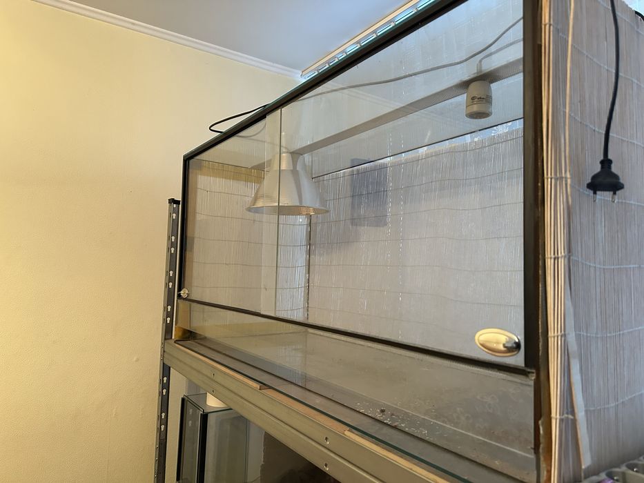 Terrarium duze /grube szklo