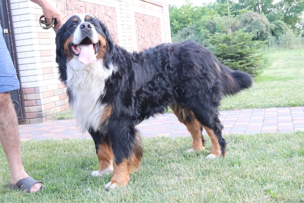 Файний хлопчик КСУ в’язка