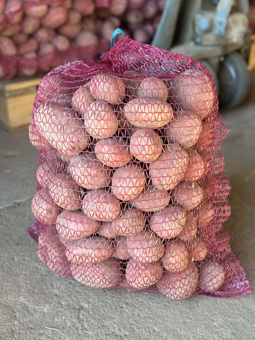 Ziemniak jadalny baltic rose