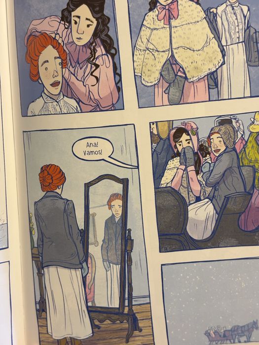 Novela Gráfica - Ana dos Cabelos Ruivos. Livro juvenil.