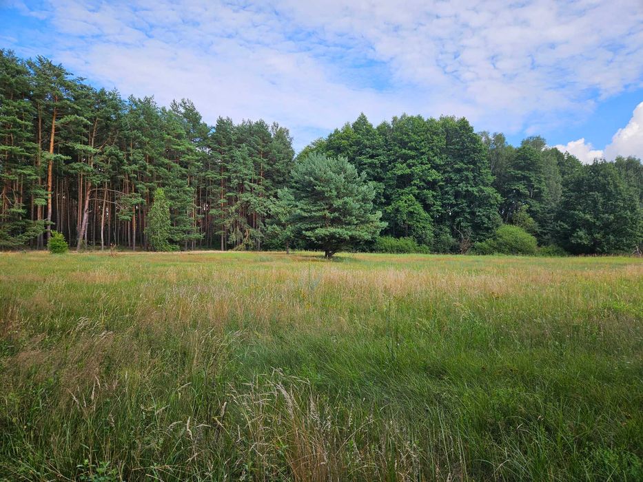 Piękna działka pod inwestycje Przychodzko – pohled 3