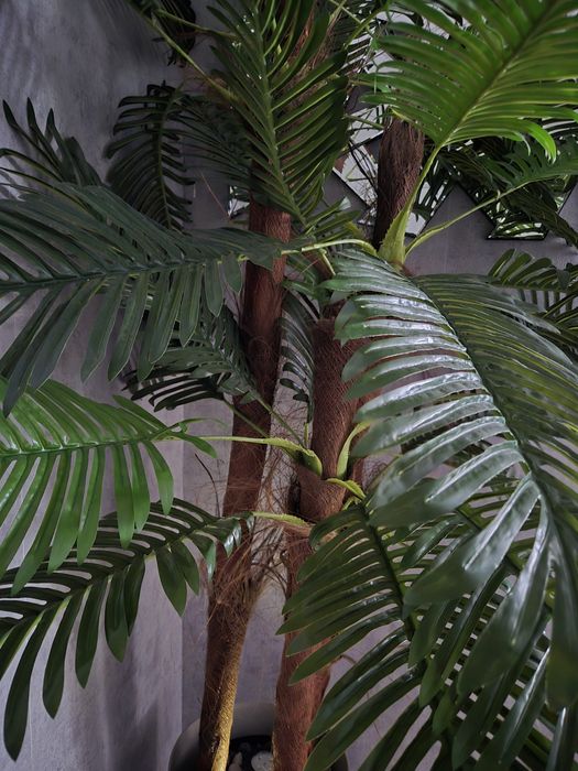 Palmeiras lindissimas para decorações artificiais grandes