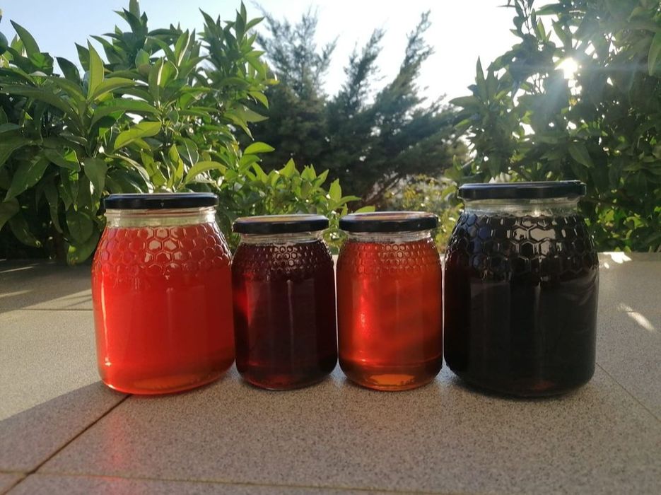 Mel de Castanheiro e Rosmaninho