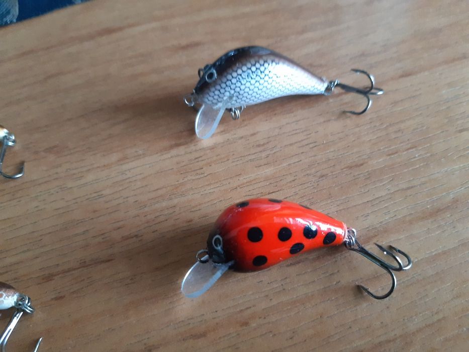 Wobler smużaki    .