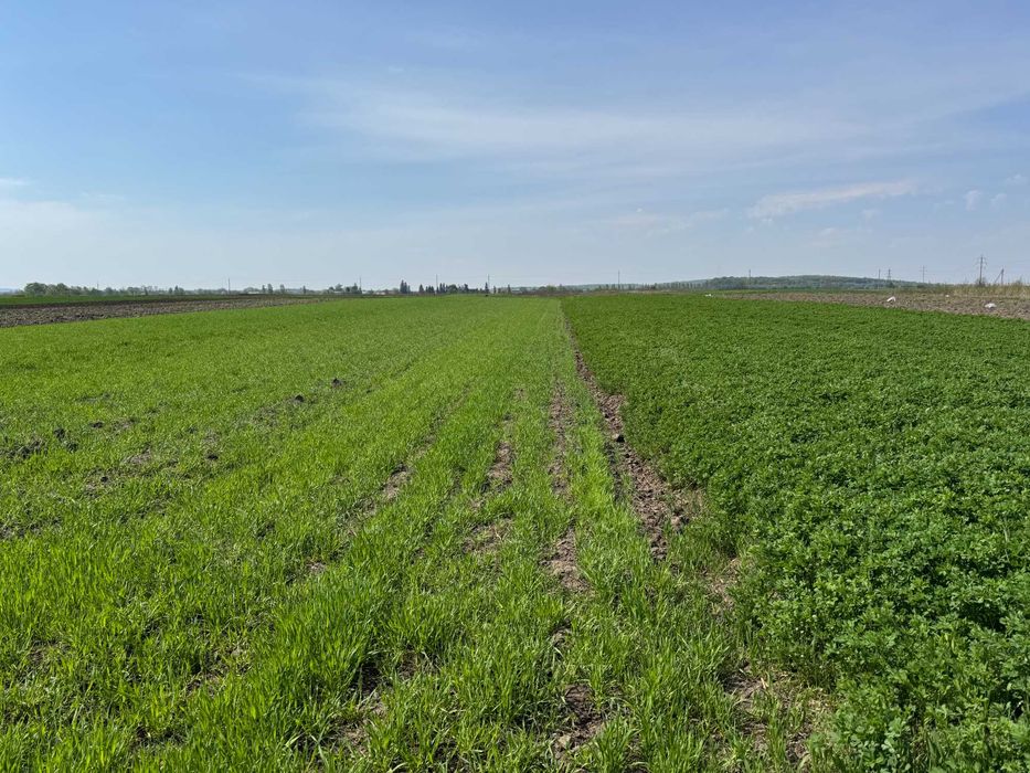 Продаж земельної ділянки 4200$