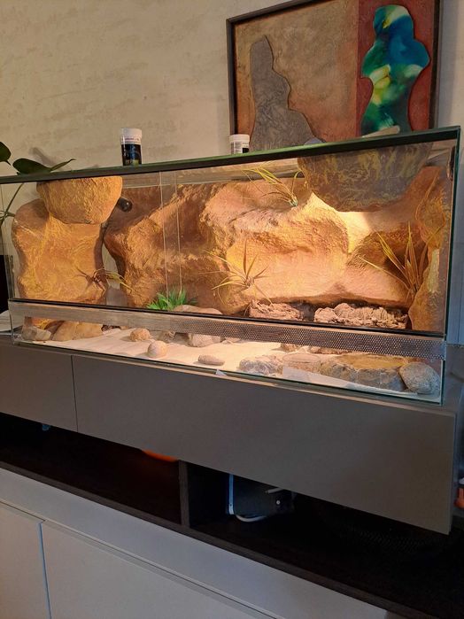 Terarium z gekonami