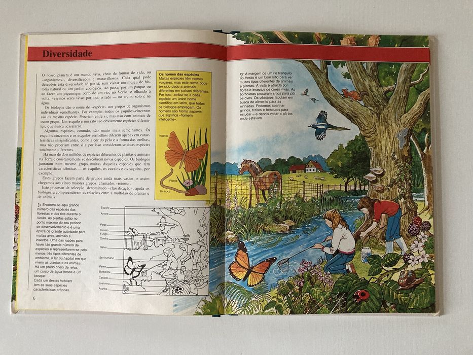 Livro Biologia – Plantas, Animais e Ecologia, de Ifor Evans (Anos 80)